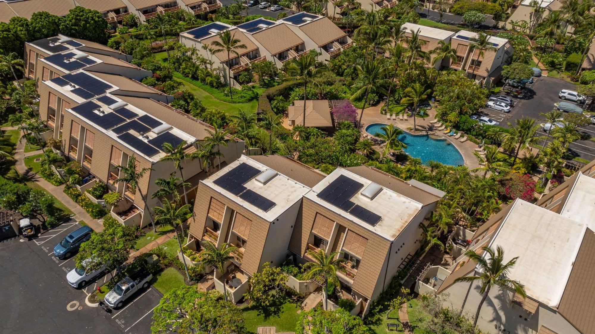 New Tropical Paradise 1bed 2bath Oasis At The Pool Apartment *