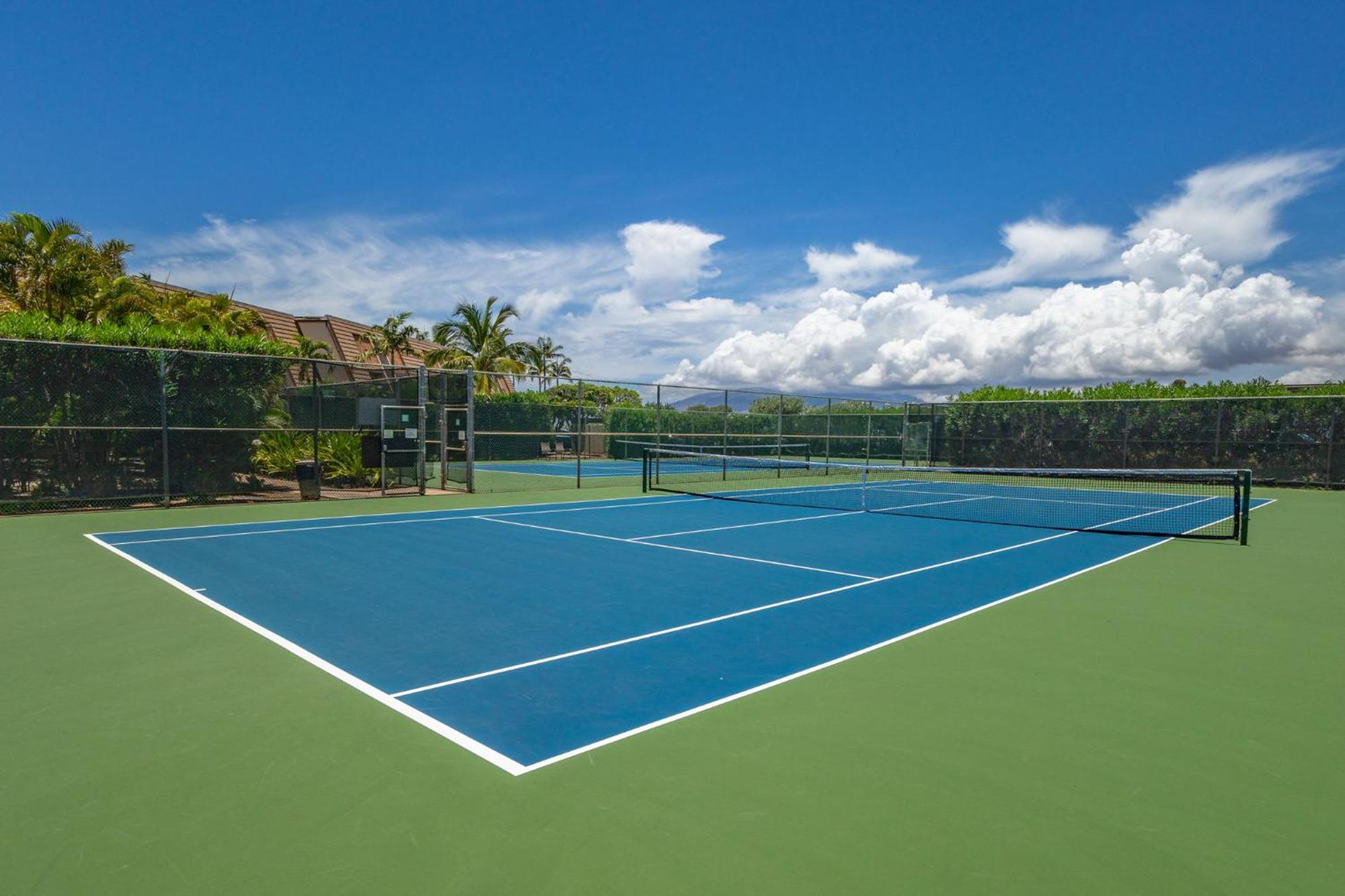 Apartment New Tropical Paradise 1bed 2bath Oasis At The Pool *
