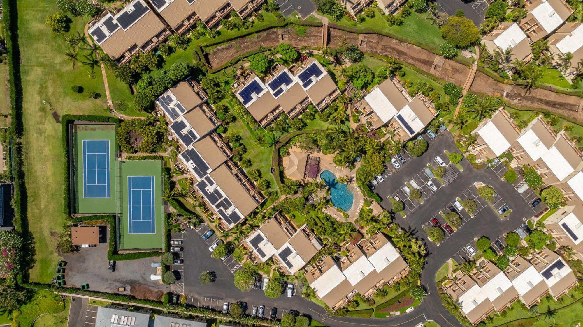 New Tropical Paradise 1bed 2bath Oasis At The Pool *