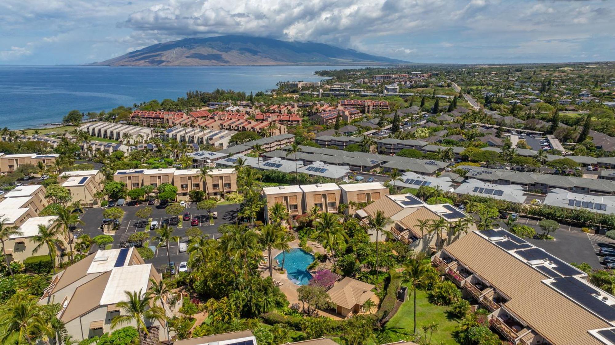 New Tropical Paradise 1bed 2bath Oasis At The Pool *