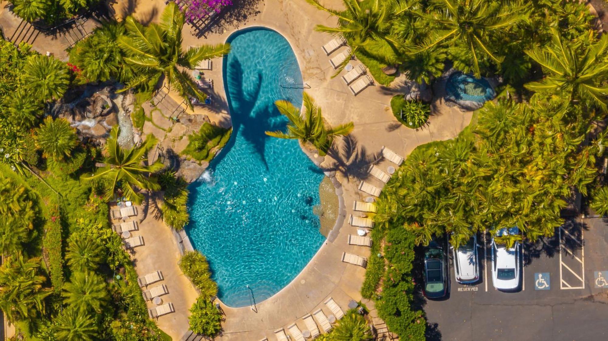 New Tropical Paradise 1bed 2bath Oasis At The Pool