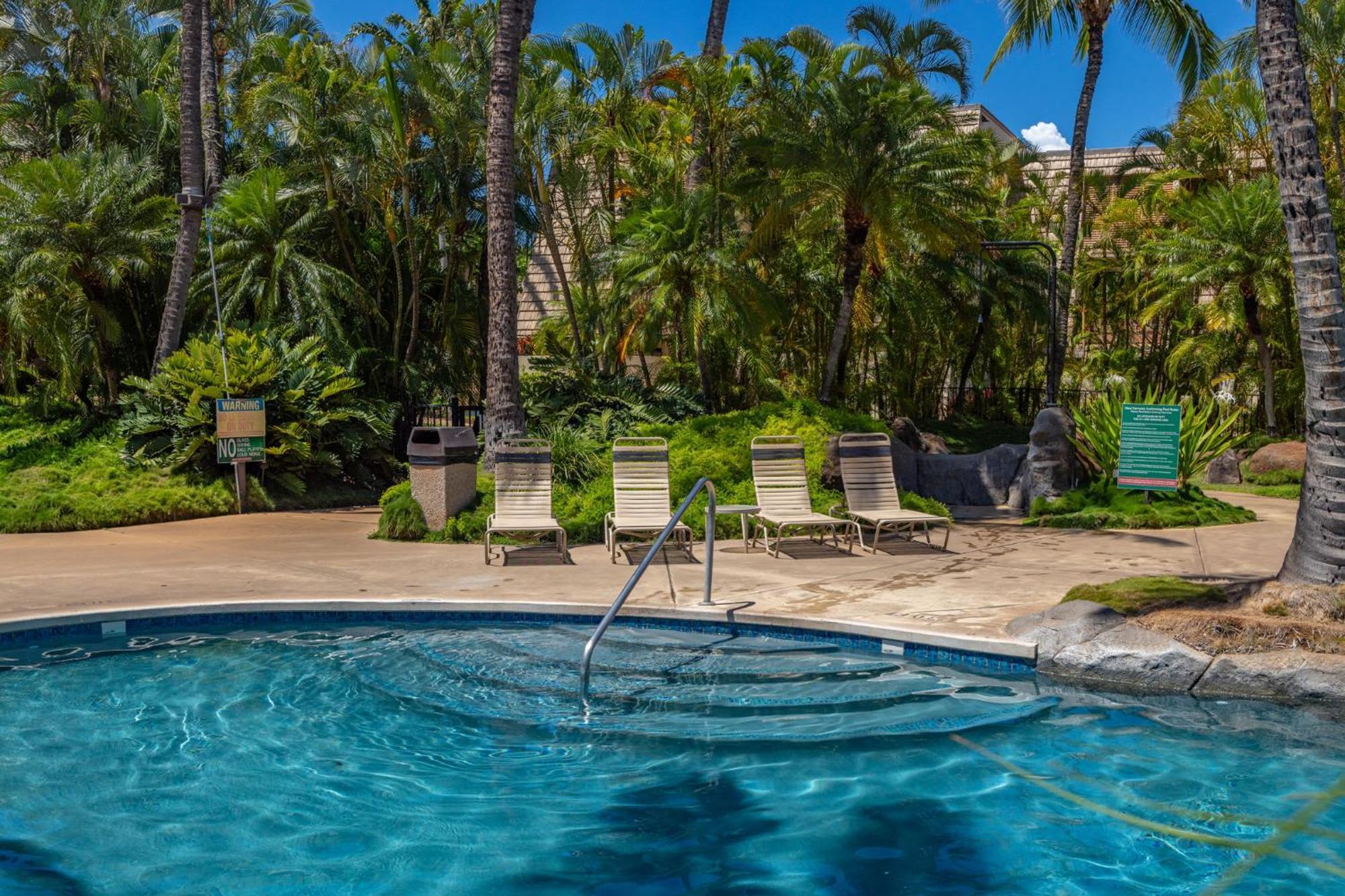 New Tropical Paradise 1bed 2bath Oasis At The Pool Apartment
