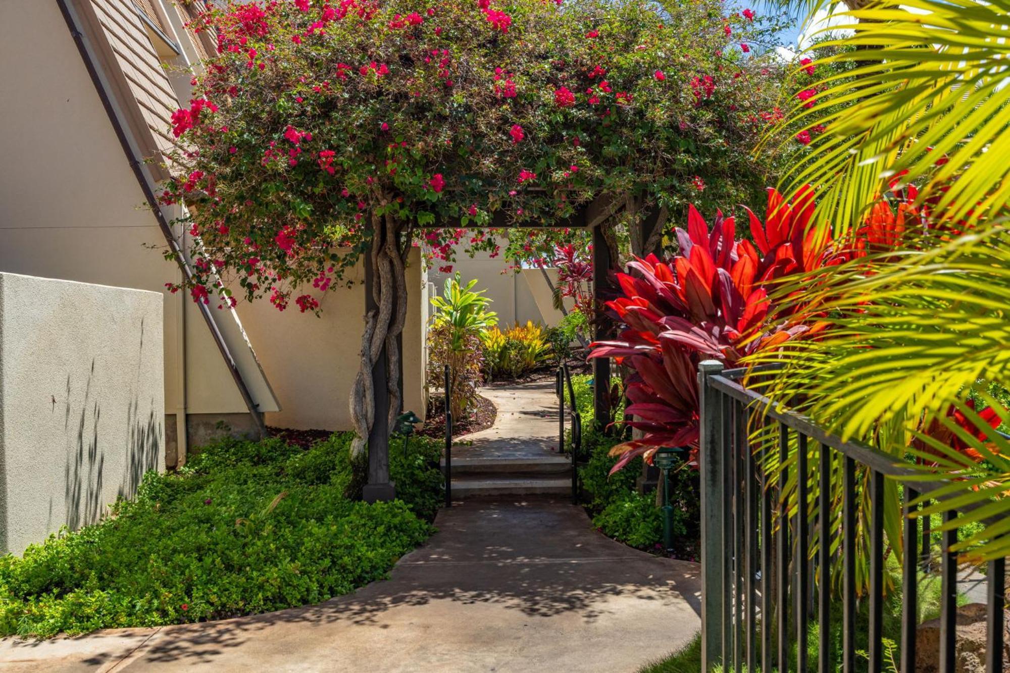 Apartment New Tropical Paradise 1bed 2bath Oasis At The Pool *