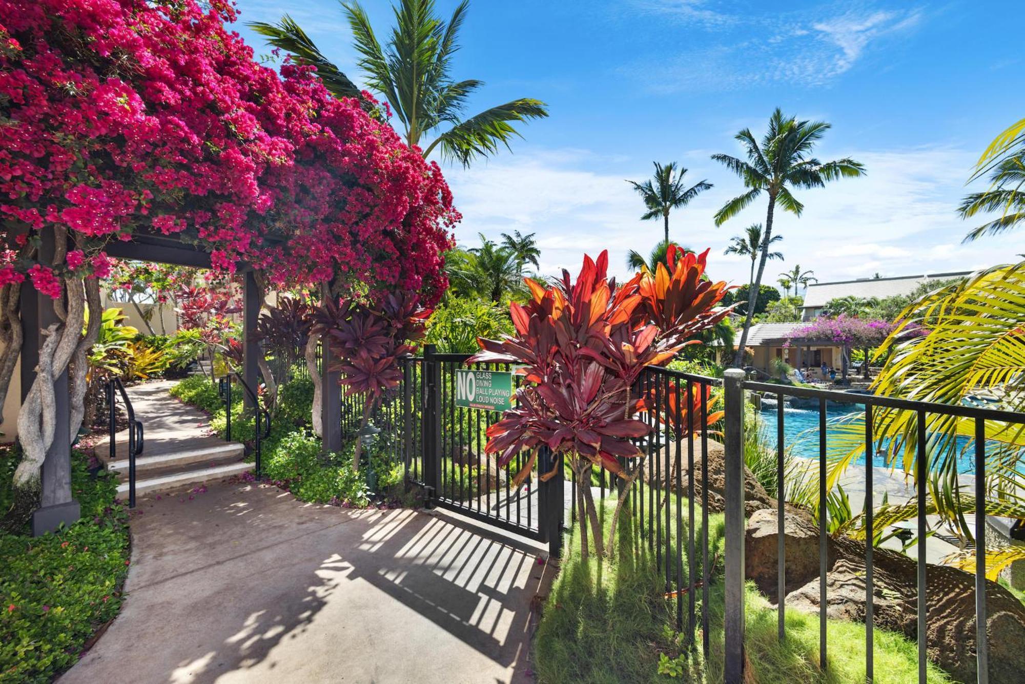 New Tropical Paradise 1bed 2bath Oasis At The Pool *
