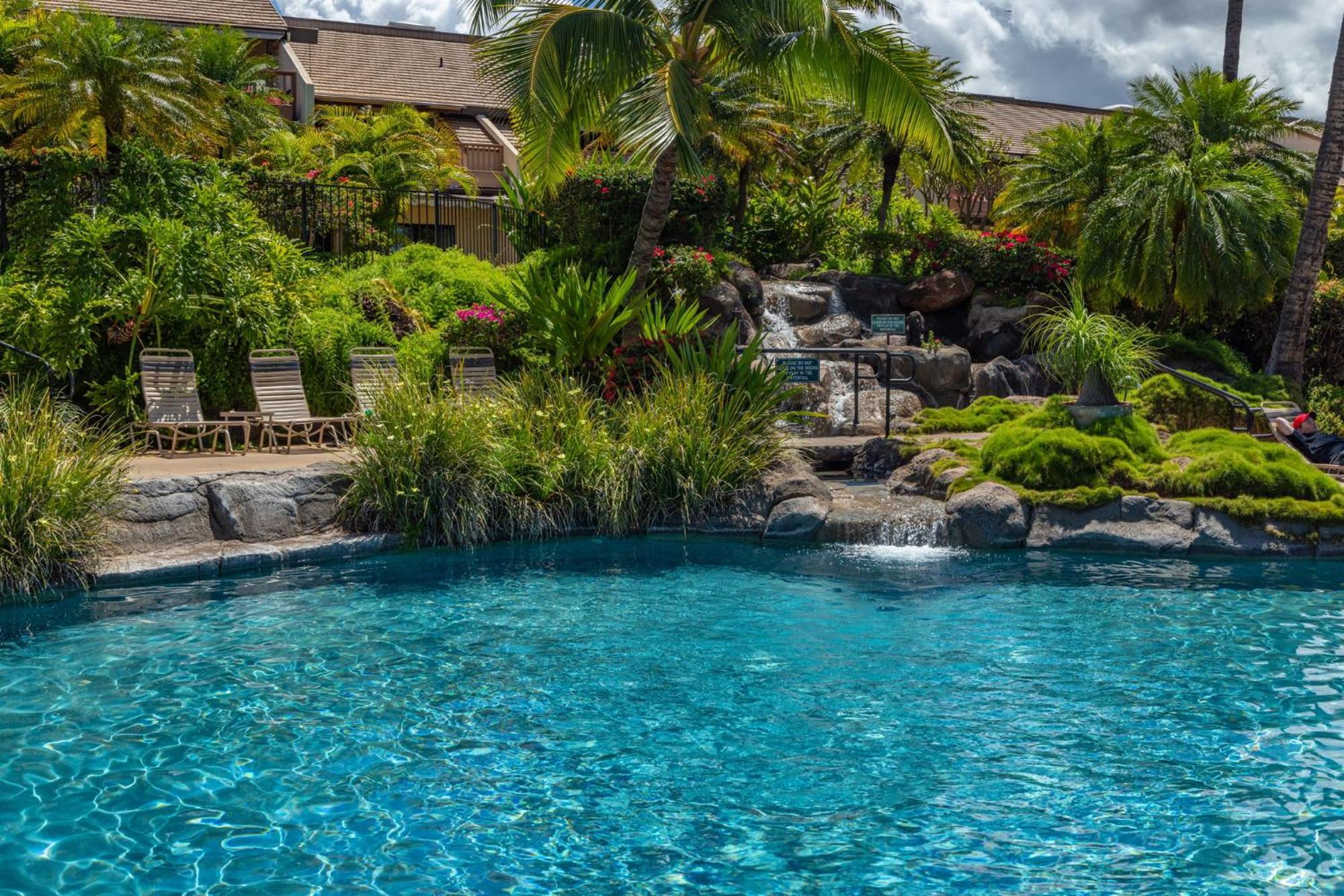 New Tropical Paradise 1bed 2bath Oasis At The Pool Apartment