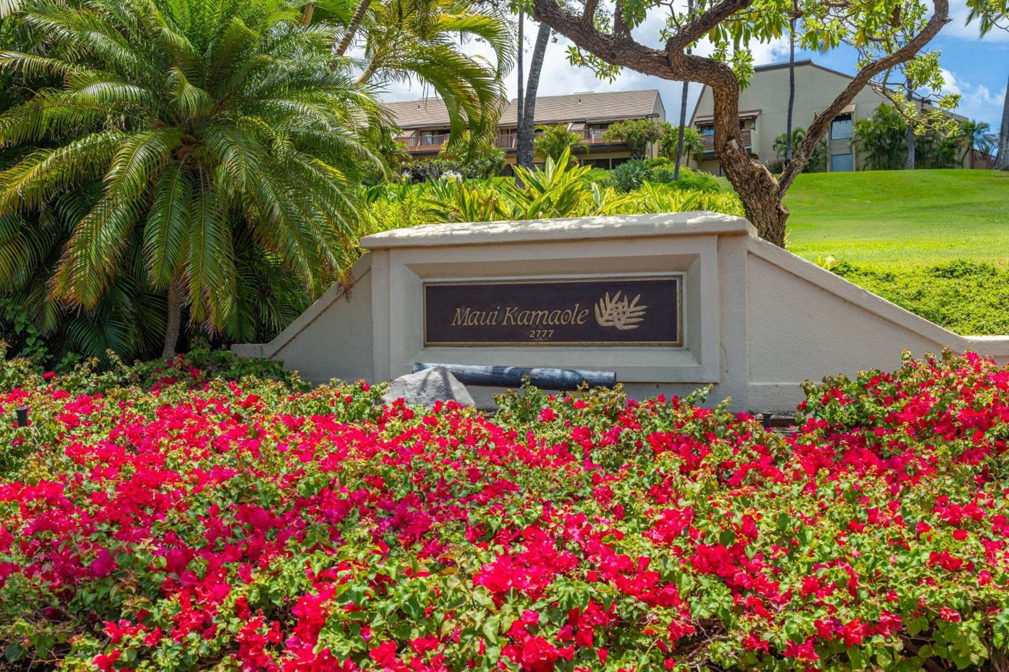 Apartment New Tropical Paradise 1bed 2bath Oasis At The Pool *