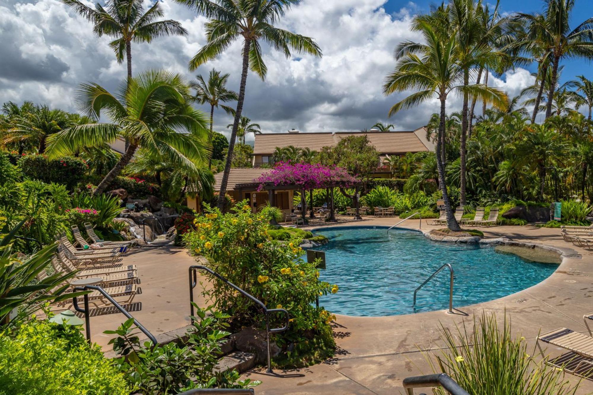 New Tropical Paradise 1bed 2bath Oasis At The Pool Apartment