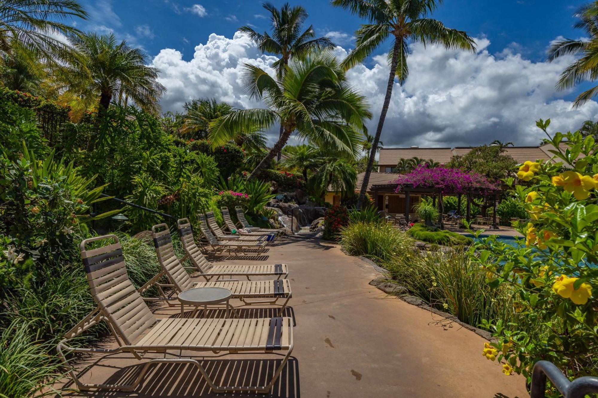Apartment New Tropical Paradise 1bed 2bath Oasis At The Pool *